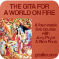 The Gita for a World on Fire poster